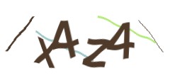 Identifying code