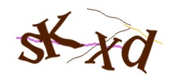 Identifying code
