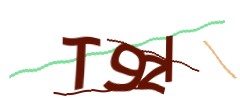 Identifying code