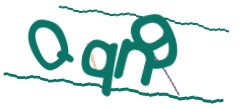 Identifying code
