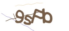 Identifying code