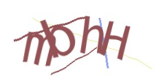 Identifying code