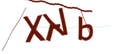 Identifying code