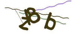 Identifying code