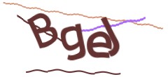 Identifying code