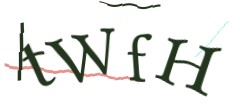 Identifying code