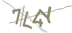 Identifying code