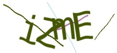 Identifying code