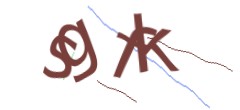 Identifying code