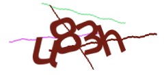 Identifying code