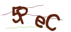 Identifying code