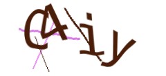 Identifying code