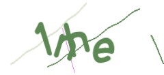 Identifying code