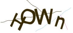 Identifying code