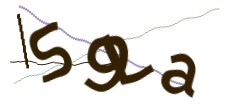 Identifying code