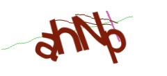 Identifying code