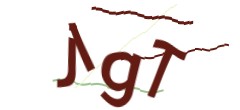 Identifying code