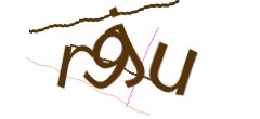 Identifying code