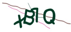 Identifying code