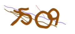 Identifying code