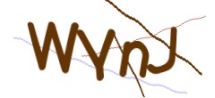 Identifying code