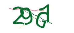 Identifying code