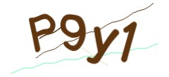 Identifying code