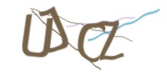 Identifying code