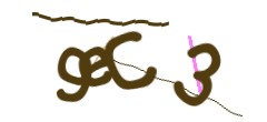 Identifying code