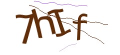 Identifying code