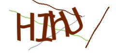 Identifying code