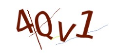 Identifying code
