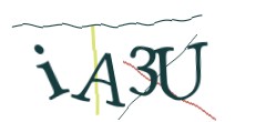 Identifying code