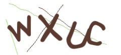 Identifying code