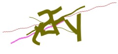 Identifying code