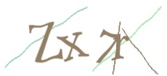 Identifying code