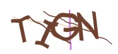 Identifying code