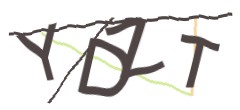 Identifying code