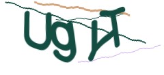 Identifying code