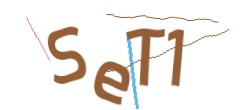 Identifying code