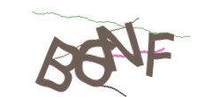 Identifying code