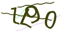 Identifying code