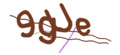 Identifying code