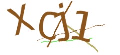 Identifying code