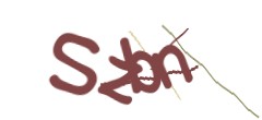 Identifying code
