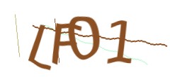 Identifying code