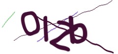 Identifying code