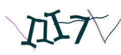 Identifying code