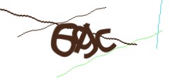 Identifying code