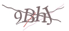 Identifying code